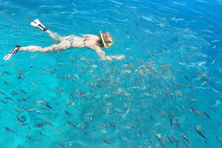محمية سانت آن البحرية: قاربٌ خاصٌّ ليومٍ كامل — صورة ٣